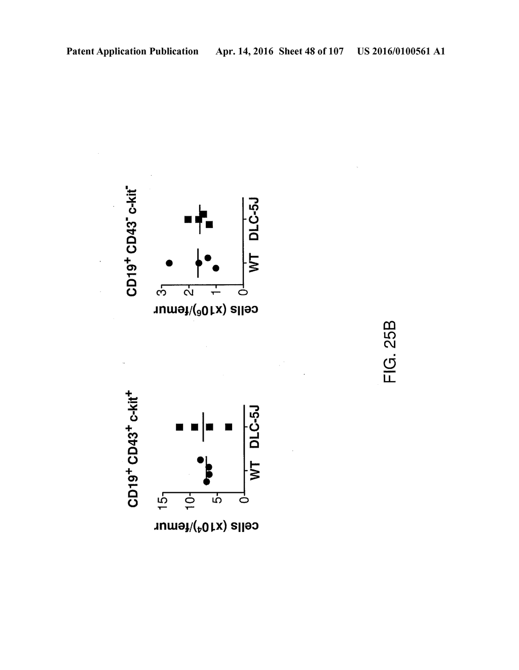 NON-HUMAN ANIMALS WITH MODIFIED IMMUNOGLOBULIN HEAVY CHAIN SEQUENCES - diagram, schematic, and image 49