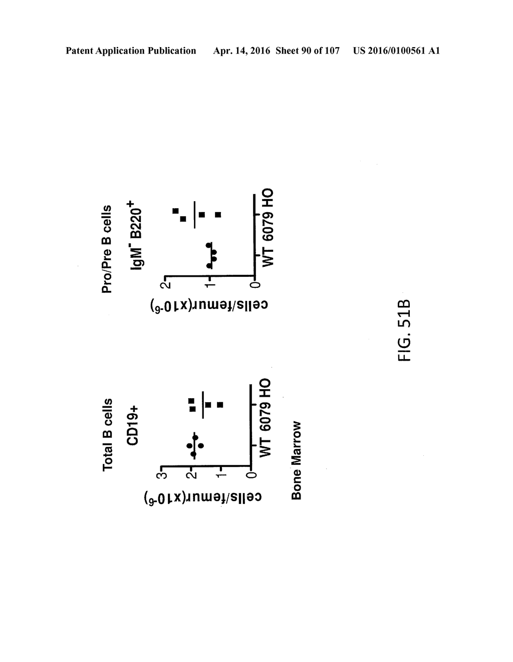 NON-HUMAN ANIMALS WITH MODIFIED IMMUNOGLOBULIN HEAVY CHAIN SEQUENCES - diagram, schematic, and image 91