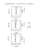 Shoe Having Lace Fitting Structure diagram and image