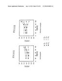 Shoe Having Lace Fitting Structure diagram and image