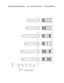 Shoe Having Lace Fitting Structure diagram and image