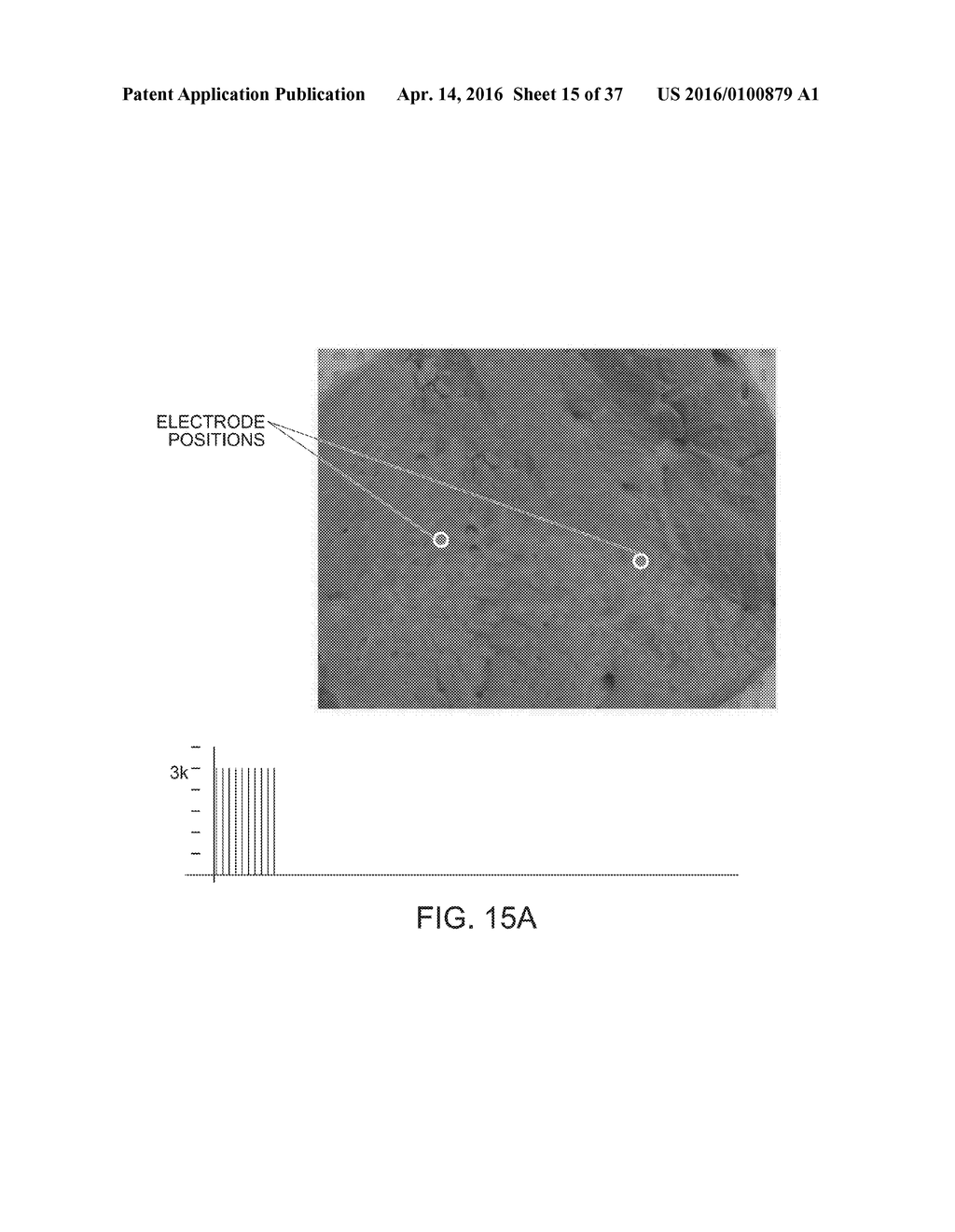 ELECTRICAL ABLATION DEVICES AND METHODS - diagram, schematic, and image 16