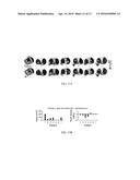 SYSTEM AND METHOD FOR INTRAOPERATIVE JOINT CONTACT MECHANICS MEASUREMENT diagram and image