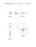 DENTAL ORAL SHIELD DEVICE AND SYSTEM diagram and image