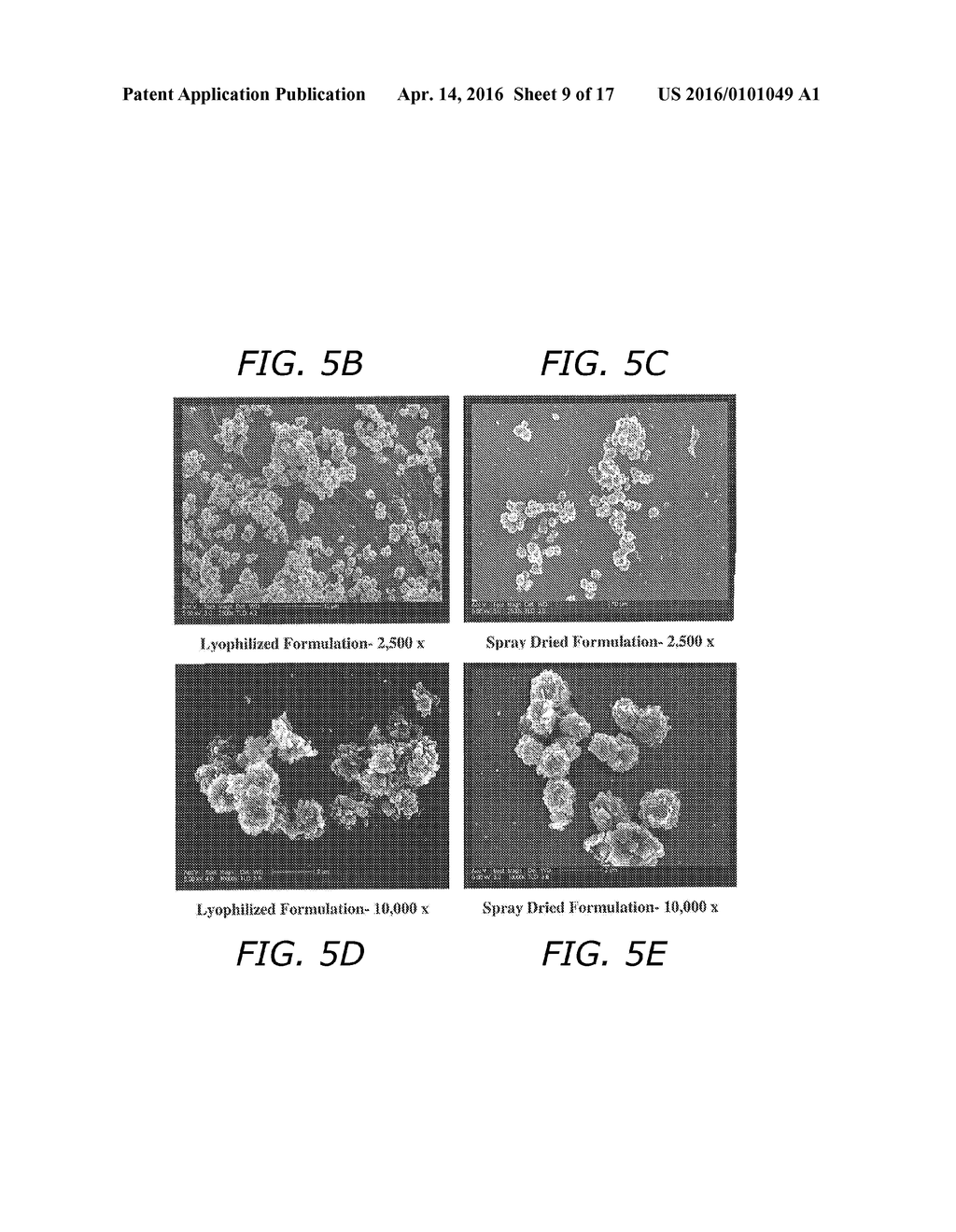 METHOD FOR IMPROVING THE PHARMACEUTIC PROPERTIES OF MICROPARTICLES     COMPRISING DIKETOPIPERAZINE AND AN ACTIVE AGENT - diagram, schematic, and image 10