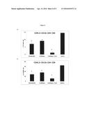 Therapeutic uses of enzyme inhibitors diagram and image