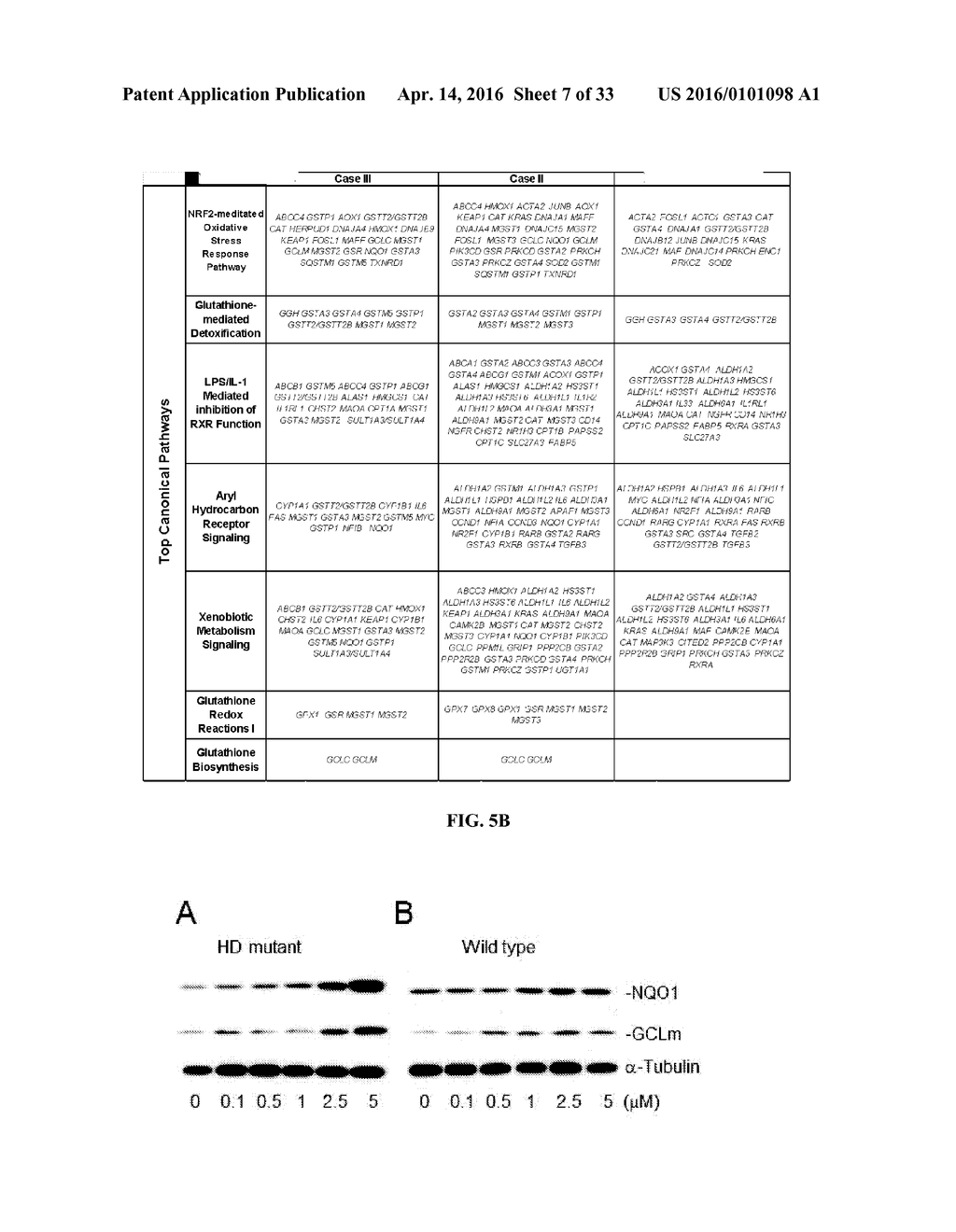 SMALL MOLECULE ACTIVATORS OF NRF2 PATHWAY - diagram, schematic, and image 08