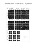 COMBINED INHIBITION OF THE VITAMIN D RECEPTOR AND POLY(ADP) RIBOSE     POLYMERASE (PARP) IN THE TREATMENT OF CANCER diagram and image