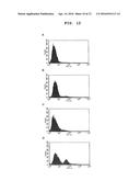 AGENT FOR PROMOTING CORNEAL ENDOTHELIAL CELL ADHESION diagram and image