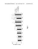 ESTROGENIC COMPONENTS FOR USE IN THE TREATMENT OF NEUROLOGICAL DISORDERS diagram and image