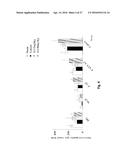 ESTROGENIC COMPONENTS FOR USE IN THE TREATMENT OF NEUROLOGICAL DISORDERS diagram and image