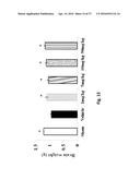 ESTROGENIC COMPONENTS FOR USE IN THE TREATMENT OF NEUROLOGICAL DISORDERS diagram and image