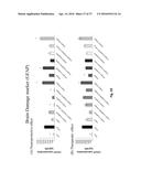 ESTROGENIC COMPONENTS FOR USE IN THE TREATMENT OF NEUROLOGICAL DISORDERS diagram and image