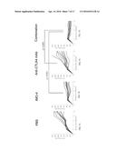 TREATMENT OF CANCER USING TLR9 AGONIST WITH CHECKPOINT INHIBITORS diagram and image