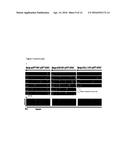 LENTIVIRAL VECTORS WITH TROPISM TO MOTOR NEURONS COMPRISING AN ANTIBODY     THAT BINDS TO A PRE-SYNAPTIC TERMINAL RECEPTOR ON THE NEUROMUSCULAR     JUNCTION AND A FUSOGENIC PROTEIN diagram and image