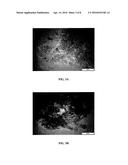 DRUG ENTRAPMENT EFFICIENCY AND SUSTAINED DRUG RELEASE OF CHLORAMPHENICOL     LOADED POLYMERIC-IRON NANOPARTICLES diagram and image