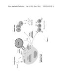 NONLINEAR SACCHARIDE CONJUGATES diagram and image