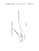 NONLINEAR SACCHARIDE CONJUGATES diagram and image