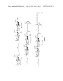 NONLINEAR SACCHARIDE CONJUGATES diagram and image