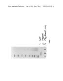 NONLINEAR SACCHARIDE CONJUGATES diagram and image