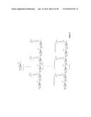 NONLINEAR SACCHARIDE CONJUGATES diagram and image