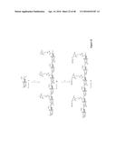 NONLINEAR SACCHARIDE CONJUGATES diagram and image