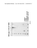 NONLINEAR SACCHARIDE CONJUGATES diagram and image