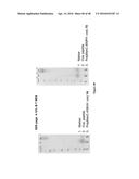 NONLINEAR SACCHARIDE CONJUGATES diagram and image