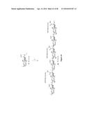 NONLINEAR SACCHARIDE CONJUGATES diagram and image