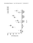 NONLINEAR SACCHARIDE CONJUGATES diagram and image