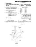 COPOLYMER MEMBRANE FOR HIGH-DOSE CHEMOTHERAPY DELIVERY DURING     TRANSARTERIAL CHEMOEMBLIZATION diagram and image