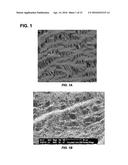 METHODS AND PROCESSES FOR APPLICATION OF DRUG DELIVERY POLYMERIC COATINGS diagram and image