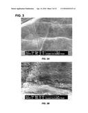 METHODS AND PROCESSES FOR APPLICATION OF DRUG DELIVERY POLYMERIC COATINGS diagram and image