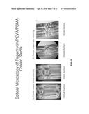 COATINGS CONTAINING MULTIPLE DRUGS diagram and image