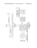 METHOD AND SYSTEM FOR ULTRA-HIGH DYNAMIC RANGE NUCLEIC ACID QUANTIFICATION diagram and image