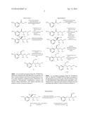 SUBSTITUTED N-PENTANAMIDE COMPOUNDS, PREPARATION METHOD AND THE USE     THEREOF diagram and image