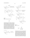 SUBSTITUTED N-PENTANAMIDE COMPOUNDS, PREPARATION METHOD AND THE USE     THEREOF diagram and image