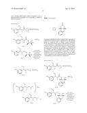 SUBSTITUTED N-PENTANAMIDE COMPOUNDS, PREPARATION METHOD AND THE USE     THEREOF diagram and image