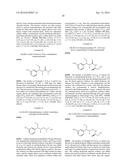 SUBSTITUTED N-PENTANAMIDE COMPOUNDS, PREPARATION METHOD AND THE USE     THEREOF diagram and image