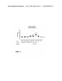 STABILIZED SOLUBLE PREFUSION RSV F POLYPEPTIDES diagram and image