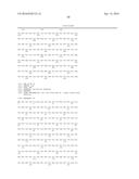 STABILIZED SOLUBLE PREFUSION RSV F POLYPEPTIDES diagram and image