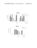 SINGLE-DOMAIN VHH ANTIBODIES DIRECTED TO NOROVIRUS GI.1 AND GII.4 AND     THEIR USE diagram and image