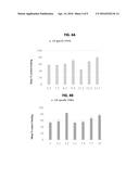 SINGLE-DOMAIN VHH ANTIBODIES DIRECTED TO NOROVIRUS GI.1 AND GII.4 AND     THEIR USE diagram and image