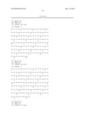 SINGLE-DOMAIN VHH ANTIBODIES DIRECTED TO NOROVIRUS GI.1 AND GII.4 AND     THEIR USE diagram and image