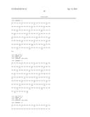 SINGLE-DOMAIN VHH ANTIBODIES DIRECTED TO NOROVIRUS GI.1 AND GII.4 AND     THEIR USE diagram and image