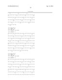 SINGLE-DOMAIN VHH ANTIBODIES DIRECTED TO NOROVIRUS GI.1 AND GII.4 AND     THEIR USE diagram and image