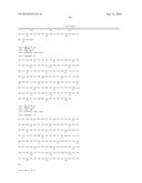 SINGLE-DOMAIN VHH ANTIBODIES DIRECTED TO NOROVIRUS GI.1 AND GII.4 AND     THEIR USE diagram and image