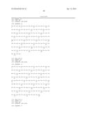 SINGLE-DOMAIN VHH ANTIBODIES DIRECTED TO NOROVIRUS GI.1 AND GII.4 AND     THEIR USE diagram and image