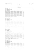 SINGLE-DOMAIN VHH ANTIBODIES DIRECTED TO NOROVIRUS GI.1 AND GII.4 AND     THEIR USE diagram and image