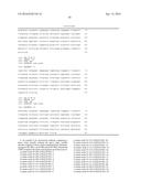 SINGLE-DOMAIN VHH ANTIBODIES DIRECTED TO NOROVIRUS GI.1 AND GII.4 AND     THEIR USE diagram and image